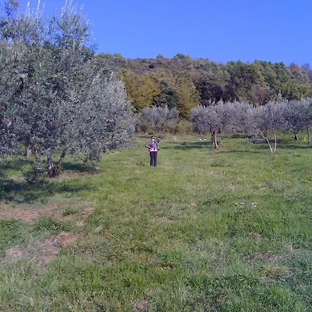 Hilltop Garden With Great Views *